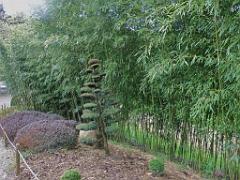 149 PARC ORIENTAL DE MAULEVIER MAINE ET LOIRE 2016 N0_000003